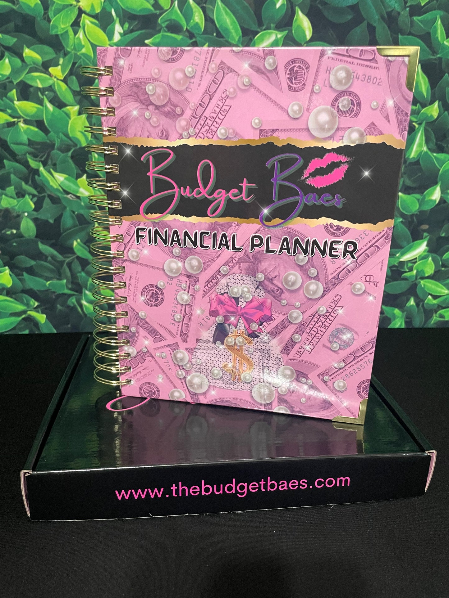 Budget Baes Financial Planner - Pretty In Pink