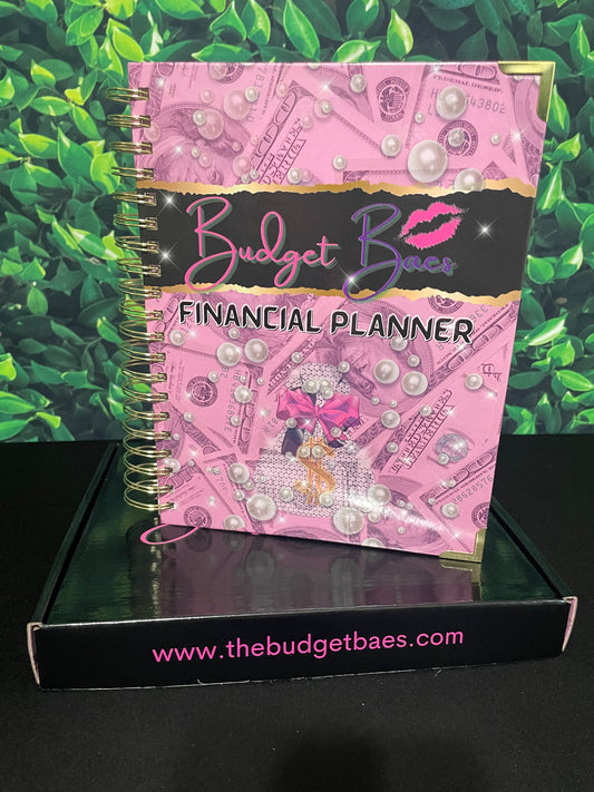 Budget Baes Financial Planner - Pretty In Pink