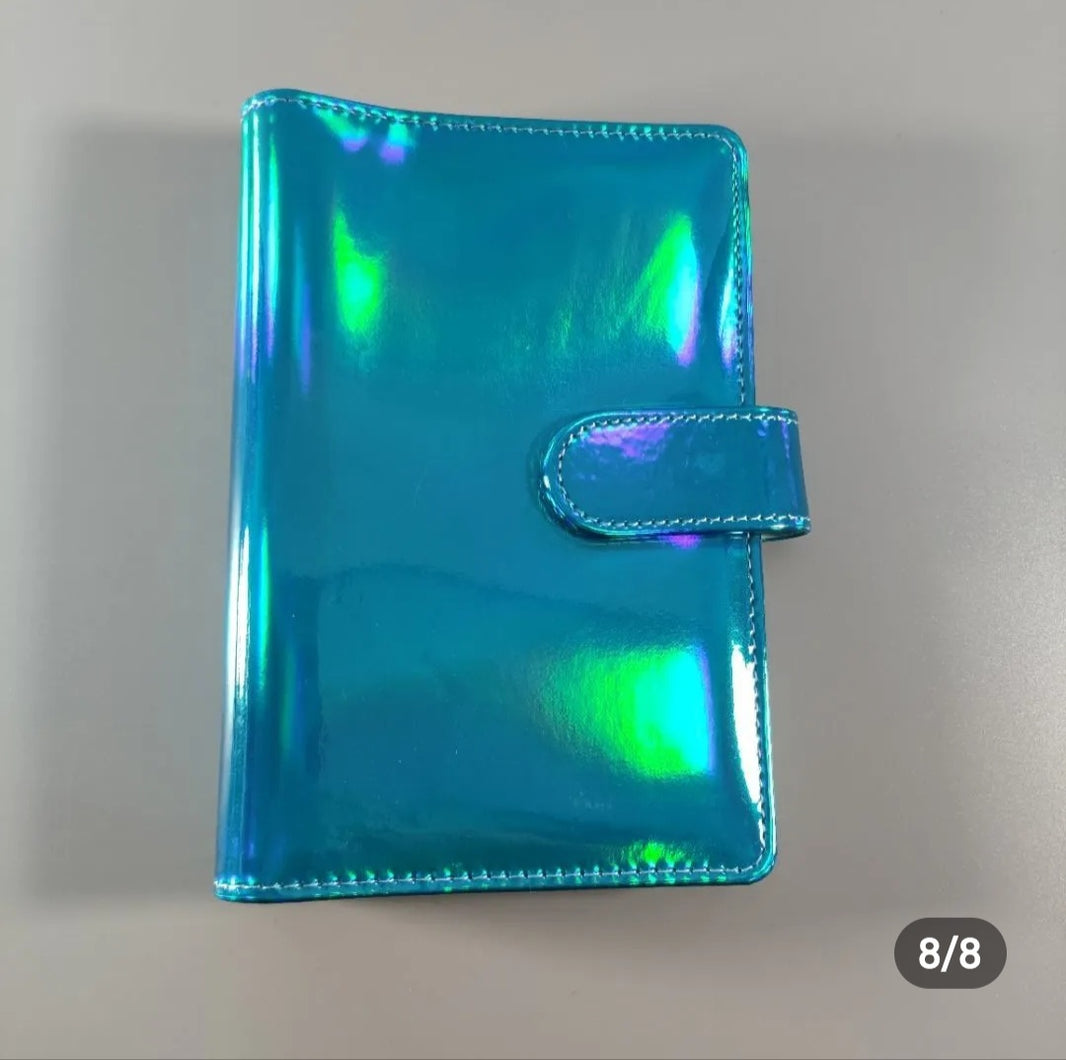 Sinking Funds Binders The Budget Baes